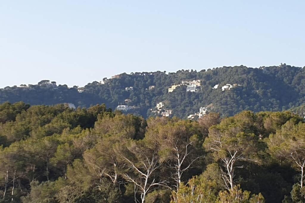 Aptment 4A Sa Calobra With Pool & Terrace Canyamel كابذيبيرا المظهر الخارجي الصورة