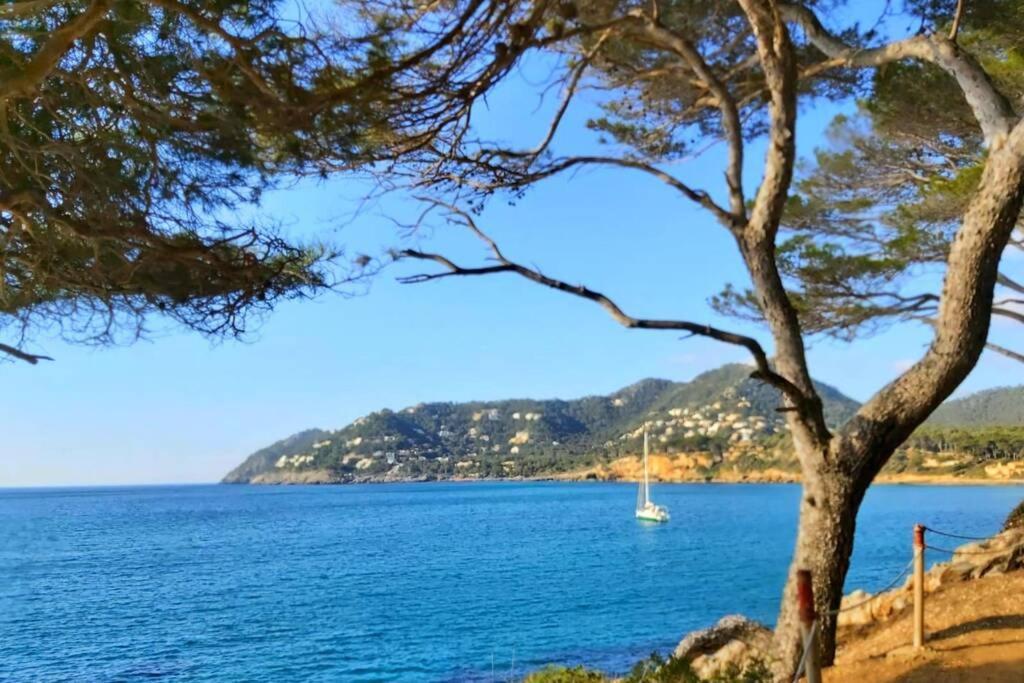 Aptment 4A Sa Calobra With Pool & Terrace Canyamel كابذيبيرا المظهر الخارجي الصورة